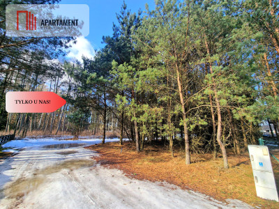 Zamieszkaj w sercu Borów Tleń Jezioro MPZP - Tleń  - Kujawsko-Pomorskie