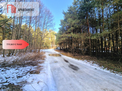 Zamieszkaj w sercu Borów Tleń Jezioro MPZP - Tleń  -
Kujawsko-Pomorskie Zdjęcie nr 3