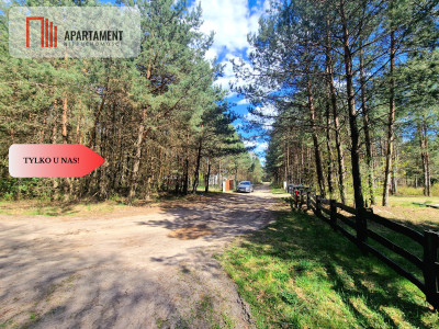 Zamieszkaj w sercu Borów Tleń Jezioro MPZP - Tleń  -
Kujawsko-Pomorskie Zdjęcie nr 5