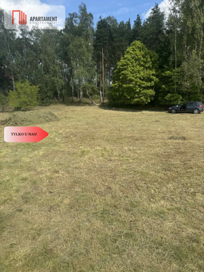 Działka budowlana przy lesie Ocypel - Ocypel  -
Pomorskie Zdjęcie nr 11