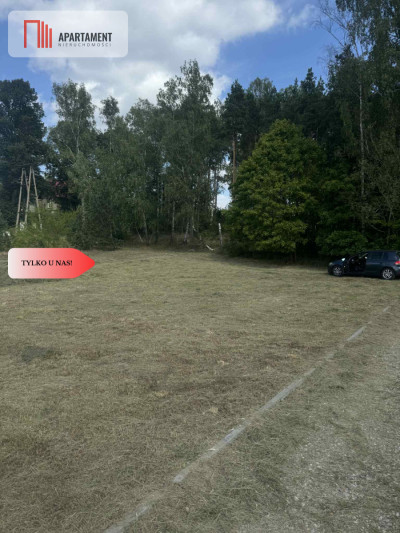 Działka budowlana przy lesie Ocypel - Ocypel  -
Pomorskie Zdjęcie nr 6