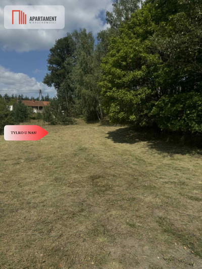 Działka budowlana przy lesie Ocypel - Ocypel  -
Pomorskie Zdjęcie nr 8