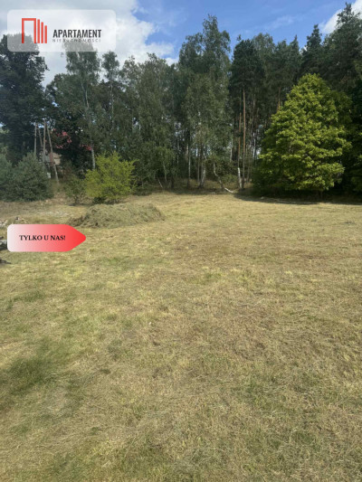 Działka budowlana przy lesie Ocypel - Ocypel  -
Pomorskie Zdjęcie nr 9