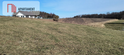 Działka na Kaszubach z widokiem na jezioro - Chrztowo  -
Pomorskie Zdjęcie nr 7