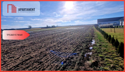 TYLKO U NAS Ostatnia tak tania działka w Sępólnie - Sępólno Krajeńskie  - Kujawsko-Pomorskie