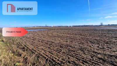 TYLKO U NAS Ostatnia tak tania działka w Sępólnie - Sępólno Krajeńskie  -
Kujawsko-Pomorskie Zdjęcie nr 2