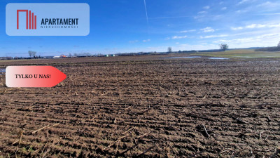 TYLKO U NAS Ostatnia tak tania działka w Sępólnie - Sępólno Krajeńskie  -
Kujawsko-Pomorskie Zdjęcie nr 3