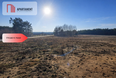 TYLKO U NAS Działka budowlana z młodymi brzózkami - Czersk  -
Pomorskie Zdjęcie nr 2