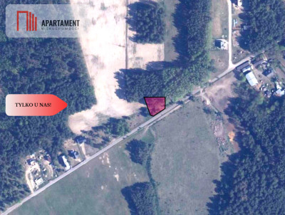 TYLKO U NAS Działka budowlana z młodymi brzózkami - Czersk  -
Pomorskie Zdjęcie nr 5