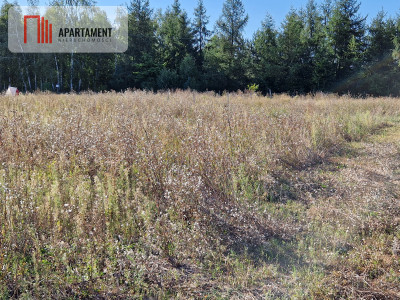 Działka z pozwoleniem na budowę blisko lasu - Rogowo  - Kujawsko-Pomorskie