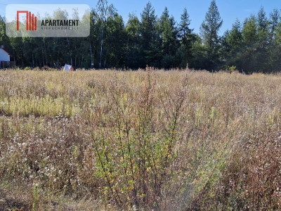 Działka z pozwoleniem na budowę blisko lasu - Rogowo  -
Kujawsko-Pomorskie Zdjęcie nr 4