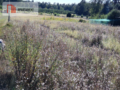 Działka z pozwoleniem na budowę blisko lasu - Rogowo  -
Kujawsko-Pomorskie Zdjęcie nr 6