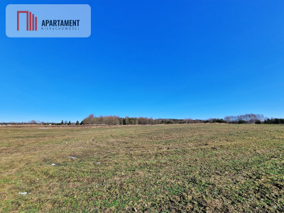 Działka w okolicy lasów i jezior - Węsiory  - Pomorskie