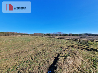 Działka w okolicy lasów i jezior - Węsiory  -
Pomorskie Zdjęcie nr 2