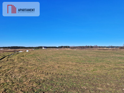 Działka w okolicy lasów i jezior - Węsiory  -
Pomorskie Zdjęcie nr 3