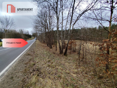 Tylko u Nas Duże działki z warunkami zabudowy - Polanów  -
Zachodniopomorskie Zdjęcie nr 10