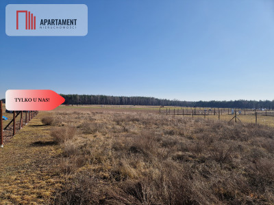 Działka budowlana niedaleko lasu i jeziora - Kalina  - Wielkopolskie