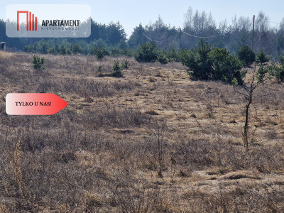 Działka budowlana niedaleko lasu i jeziora - Kalina  -
Wielkopolskie Zdjęcie nr 5