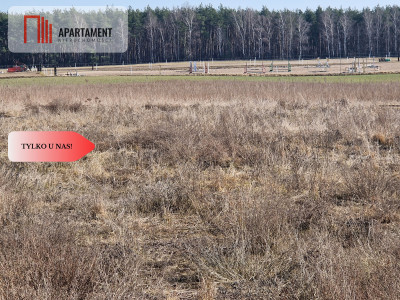 Działka budowlana niedaleko lasu i jeziora - Kalina  -
Wielkopolskie Zdjęcie nr 6