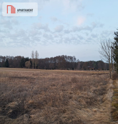 Kornelin Gotowa Działka 1500m2 z Projektem - Kornelin  -
Kujawsko-Pomorskie Zdjęcie nr 4