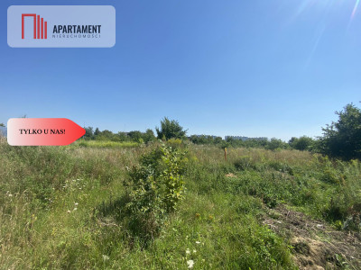 Działka budowlana  centrum Człuchowa - Człuchów  -
Pomorskie Zdjęcie nr 4