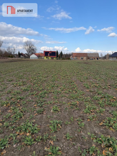 Działki budowlane w Chocianowcu MPZP - Chocianowiec  -
Dolnośląskie Zdjęcie nr 2