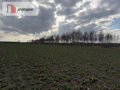 Działki budowlane w Chocianowcu MPZP - Chocianowiec  -
Dolnośląskie Zdjęcie nr 3