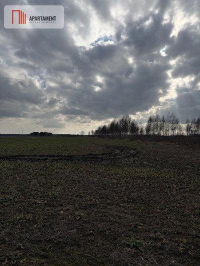 Działki budowlane w Chocianowcu MPZP - Chocianowiec  -
Dolnośląskie Zdjęcie nr 4