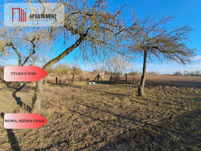 DZIAŁKA Z ZABUDOWANIAMI W CENTRUM OSIEKA NAD NOT - Osiek Nad Notecią  -
Wielkopolskie Zdjęcie nr 13