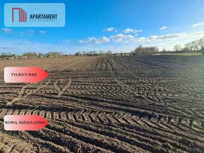 DZIAŁKA Z ZABUDOWANIAMI W CENTRUM OSIEKA NAD NOT - Osiek Nad Notecią  -
Wielkopolskie Zdjęcie nr 14