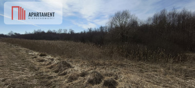 Działka 8000 m na Kaszubach - Niedamowo - Niedamowo  -
Pomorskie Zdjęcie nr 8