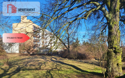 Działka w centrum Kcyni  2258 m  media  WZ - Kcynia  -
Kujawsko-Pomorskie Zdjęcie nr 4