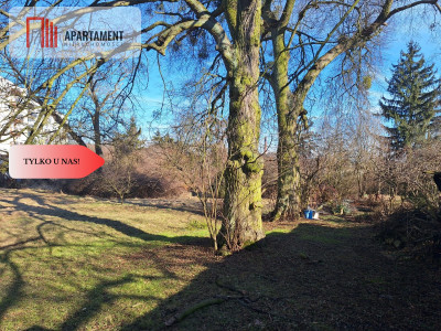 Działka w centrum Kcyni  2258 m  media  WZ - Kcynia  -
Kujawsko-Pomorskie Zdjęcie nr 5