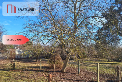 Działka w centrum Kcyni  2258 m  media  WZ - Kcynia  -
Kujawsko-Pomorskie Zdjęcie nr 9