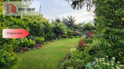 Piękna działka rekreacyjna z KW - domek ogród - Trzeciewnica  -
Kujawsko-Pomorskie Zdjęcie nr 13