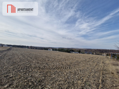 Działka w Wolicach 900 mkw z MPZP - Wolice  -
Kujawsko-Pomorskie Zdjęcie nr 4