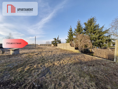 Działka z warsztatem w Gogółkowo - Gogółkowo  -
Kujawsko-Pomorskie Zdjęcie nr 2