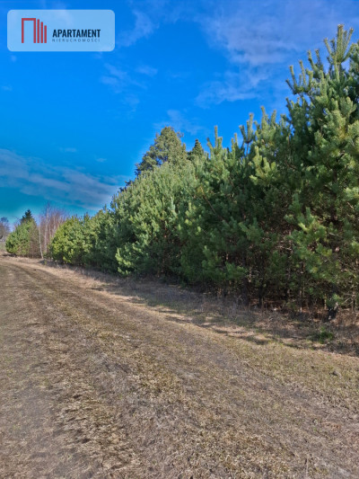Działki siedliskowe w spokojnej okolicy - Lubiki  -
Pomorskie Zdjęcie nr 6