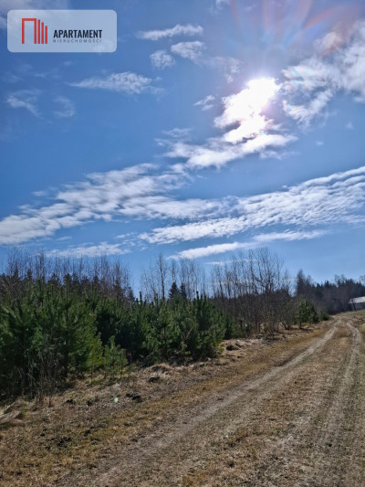 Działki siedliskowe w spokojnej okolicy - Lubiki  -
Pomorskie Zdjęcie nr 7