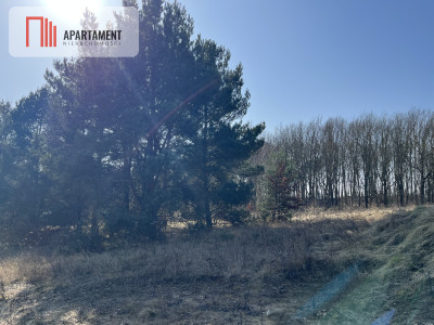 Urokliwana uboczu działka Dobino mediawarunki - Dobino  -
Zachodniopomorskie Zdjęcie nr 4