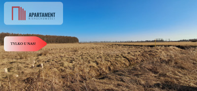 Działki budowlane - Kruszyn Krajeński - Kruszyn Krajeński  -
Kujawsko-Pomorskie Zdjęcie nr 2