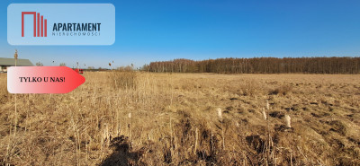 Działki budowlane - Kruszyn Krajeński - Kruszyn Krajeński  -
Kujawsko-Pomorskie Zdjęcie nr 3