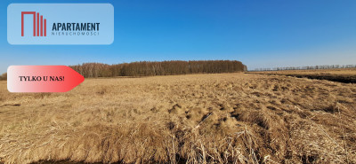Działki budowlane - Kruszyn Krajeński - Kruszyn Krajeński  -
Kujawsko-Pomorskie Zdjęcie nr 6