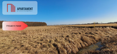 Działki budowlane - Kruszyn Krajeński - Kruszyn Krajeński  -
Kujawsko-Pomorskie Zdjęcie nr 8