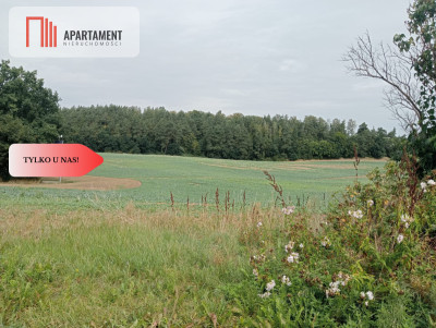 Tczew-Śliwiny z Warunkami Zabudowy - Śliwiny  -
Pomorskie Zdjęcie nr 2