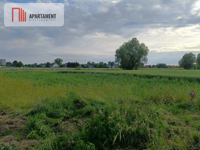 Cedry Wielkie Działka z MPZP i mediami - Cedry Wielkie  -
Pomorskie Zdjęcie nr 4