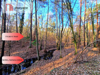 Działki budowlane 200m od rzeki Wdy Tylko u Nas - Wałkowiska  -
Kujawsko-Pomorskie Zdjęcie nr 11