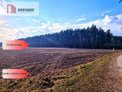 Działki budowlane 200m od rzeki Wdy Tylko u Nas - Wałkowiska  -
Kujawsko-Pomorskie Zdjęcie nr 2