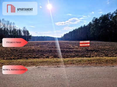 Działki budowlane 200m od rzeki Wdy Tylko u Nas - Wałkowiska  -
Kujawsko-Pomorskie Zdjęcie nr 4