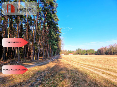 Działki budowlane 200m od rzeki Wdy Tylko u Nas - Wałkowiska  -
Kujawsko-Pomorskie Zdjęcie nr 5